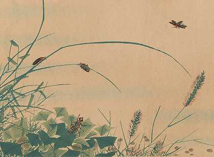 朱家森，Pl.06`Chūka senzen, Pl.06 (ca 1889) by Shunkei Mori