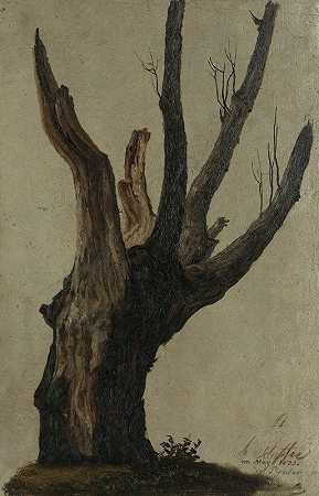 安东·希弗《普拉特》中的树木研究`Baumstudie im Prater (1833) by Anton Schiffer