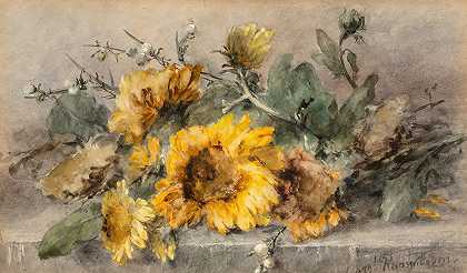 Margaretha Vogel Roosenboom在石壁上喷洒向日葵`Spray of sunflowers on a stone ledge by Margaretha Vogel Roosenboom