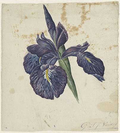 艾里斯`Iris (1792 ~ 1861) by Georgius Jacobus Johannes van Os