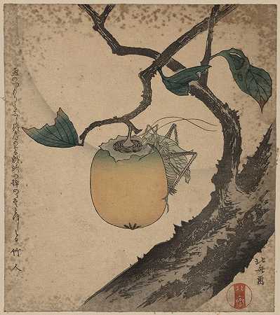 你的外科医生的腿`Kaki ni kirigirisu (1870~1900) by Katsushika Hokusai