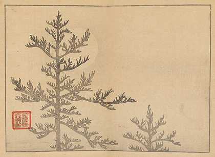 酒井浩，itsu gajo，第16页`Sakai Hōitsu gajō, Pl.16 (1800~1912) by Sakai Hōitsu