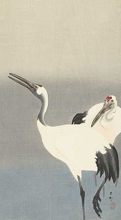 两只起重机`Two cranes (1900 ~ 1930) by Ohara Koson