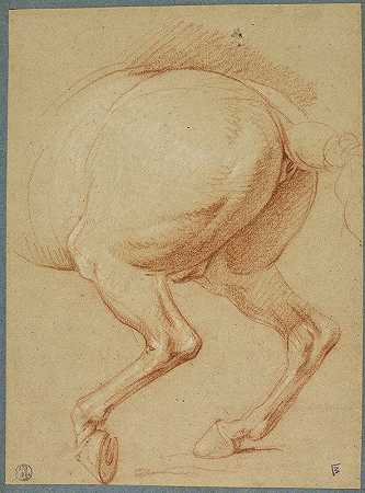 马的后腿`The Hind Legs of a Horse by Charles Le Brun