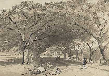 大道和圣詹姆斯兵营入口`Avenue and Entrance to St. James Barracks (1857) by Michel Jean Cazabon