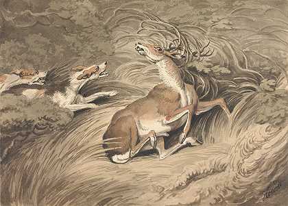 两只猎犬在海湾里攻击一只牡鹿`Two Hounds Attacking a Stag at Bay by Samuel Howitt