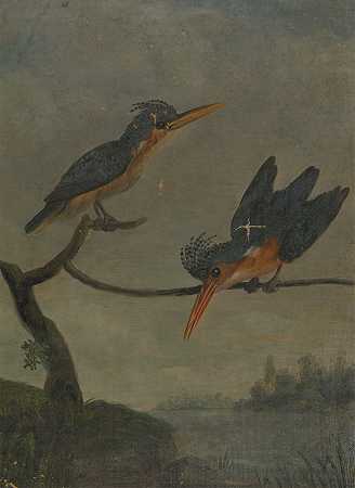 湖边的两个翠鸟`Two Kingfishers beside a Lake by James Sowerby