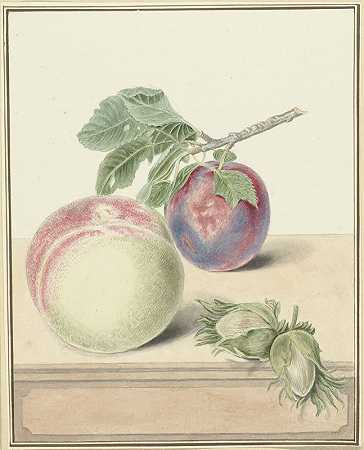 桃子，一种有叶子和一些坚果的李子，在米切尔·范·惠瑟姆之后`Perzik, een pruim met blad en een paar noten, after Michiel van Huysum (1818 ~ 1853) by Elisabeth Geertruida van de Kasteele