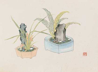 盆景卡本祖，Pl.26`Bonsai kabenzu, Pl.26 (1868~1912)