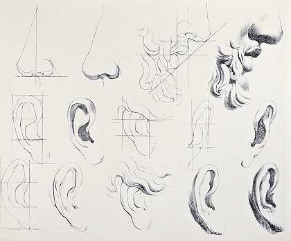朱利安美国的研究`Juliens Studies of Heads pl 03 (1840) by Bernard-Romain Julien