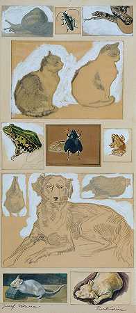 动物研究（12张草图）`Tierstudien (12 Skizzen) (1920) by Josef Wawra