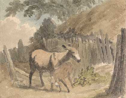 驴和小马驹`A Donkey and Foal by Robert Hills