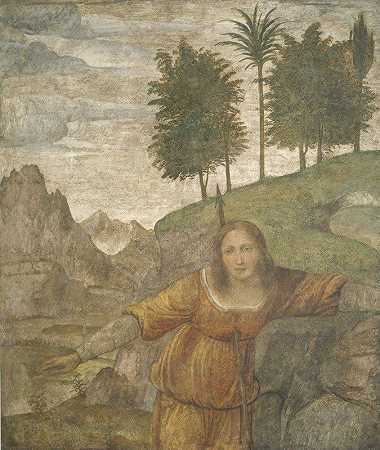 他被刺穿了`Procris Pierced by Cephalus Javelin (c. 1520~1522) by Cephalus&; Javelin by Bernardino Luini