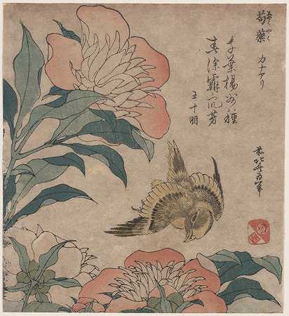 沙库亚库·卡纳·阿里`Shakuyaku kana ari (1833) by Katsushika Hokusai