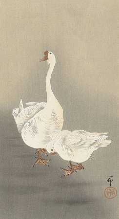 两只鹅`Two geese (1900 ~ 1930) by Ohara Koson