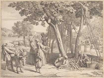 苹果收获`An Apple Harvest (1700) by Claude Simpol