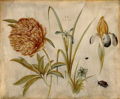 花和甲虫`Flowers and Beetles (1582) by Hans Hoffmann