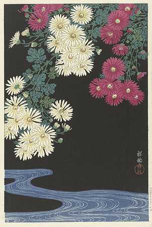菊花和流水`Chrysanthemums and Running Water (1925 ~ 1936) by Ohara Koson
