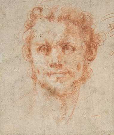 研究一个人头`Study of a Mans Head (1520–25) by Pontormo (Jacopo Carucci)