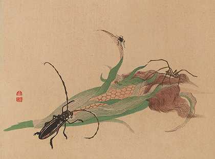 朱家森，Pl.02`Chūka senzen, Pl.02 (ca 1889) by Shunkei Mori