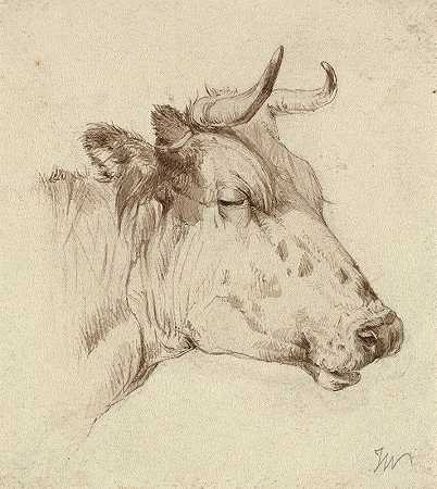 牛头`Head of a cow (1800 – 1899)