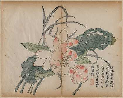 花莲和花蕾`Flowering Lotus and Bud (18th Century)