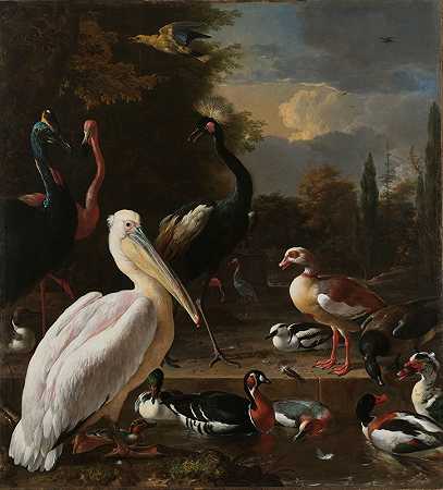 池塘附近的鹈鹕和其他鸟类，被称为“漂浮的羽毛”`A Pelican and other Birds near a Pool, Known as ‘The Floating Feather’ (c. 1680) by Melchior d&;Hondecoeter