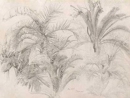 棕榈树`Palms (1855) by William Trost Richards