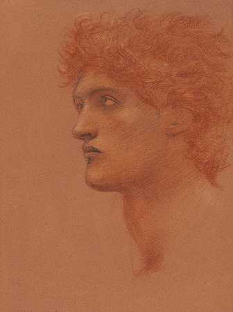 在《珀尔修斯的呼唤》中对男性头部的侧面研究`Study of a male head in profile, for Perseus in The Call of Perseus by Sir Edward Coley Burne-Jones