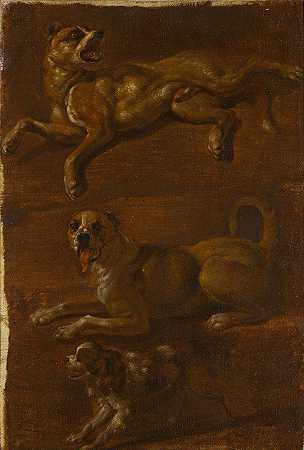 狗的三项研究`Three studies of dogs (17th Century) by Dutch School