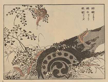 拜里·加夫，Pl.56`Bairei gafu, Pl.56 (1905) by Kōno Bairei