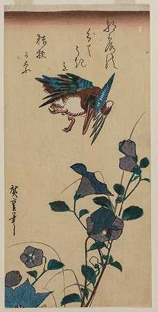 翠鸟与风铃花`Kingfisher and Chinese Bellflowers (early or mid~1830s) by Andō Hiroshige