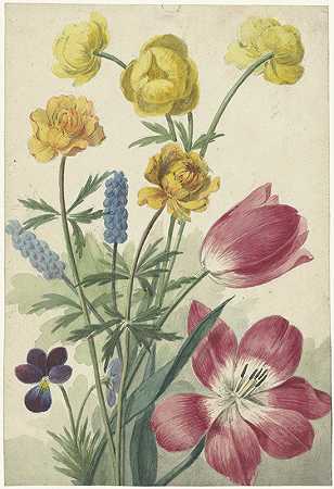 郁金香、紫罗兰、蓝葡萄和圆点的花香`Boeket van tulpen, viooltjes, blauwe druifjes en dotters (1763 ~ 1825) by Willem van Leen