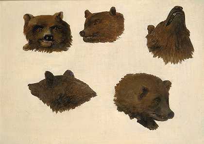 生活中两只灰熊的肖像`Portraits of Two Grizzly Bears, From Life (1839~1840) by George Catlin