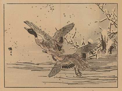 拜里·加夫，第47页`Bairei gafu, Pl.47 (1905) by Kōno Bairei