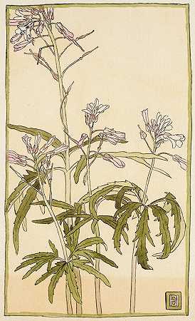 粉红色的花，有尖绿色的叶子`Pink Flowers with Spiky Green Leaves (circa 1915) by Hannah Borger Overbeck