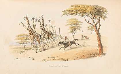 南部非洲的野生运动`The wild sports of Southern Africa (1844) by William Cornwallis Harris