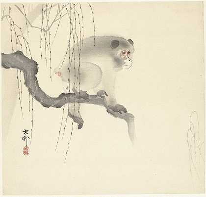 树枝上的猴子`Monkey on tree branch (1900 ~ 1930) by Ohara Koson