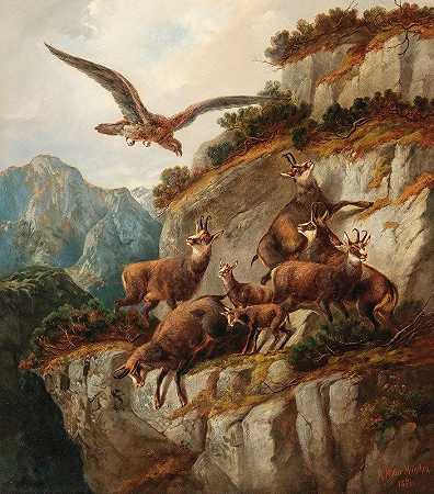 陡峭悬崖上的羚羊和老鹰`Chamois and Eagle on a Steep Cliff Face (1871) by Moritz Müller