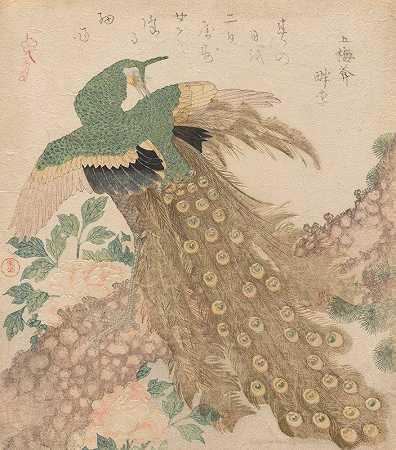 三片[孔雀]（美平野内）`Of Three Pieces [Peacock] (Mi hira no uchi) (probably 1813) by Kubo Shunman