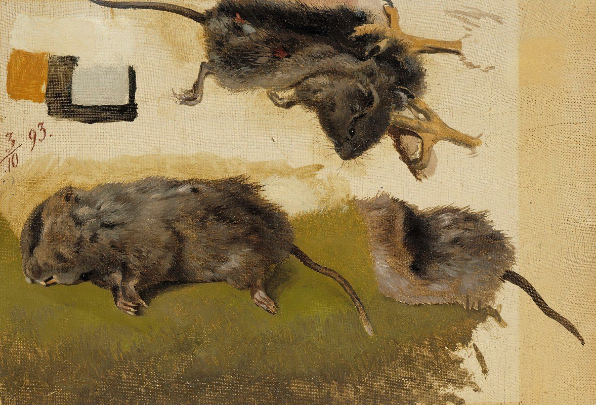 啮齿动物`Rodents (1893) by Ferdinand von Wright