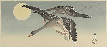 满月时的鹅`Geese at full moon (1925 ~ 1936) by Ohara Koson