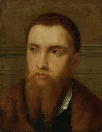 一个蓄着胡须的男人的肖像，头部和肩部，在室内`Portrait Of A Bearded Man, Head And Shoulders, In An Interior by Paris Bordone