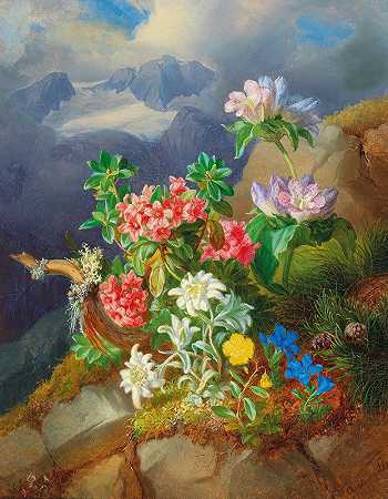 高山花卉`Alpine flowers by Andreas Lach
