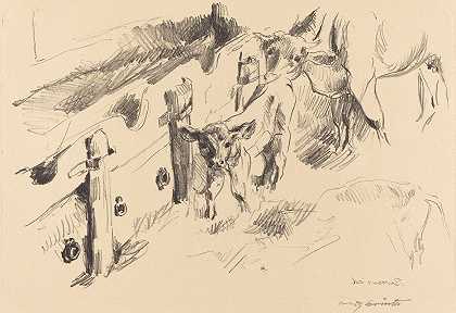 小牛`Calves (Kälber) (1912) by Lovis Corinth