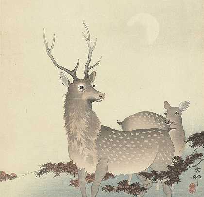 两只鹿`Two Deer (1900 ~ 1930) by Ohara Koson