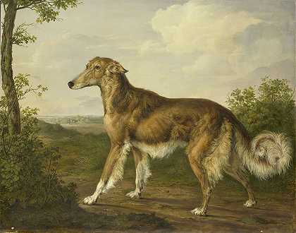 西伯利亚灰狗`Siberian Greyhound (c. 1825) by Jan Dasveldt