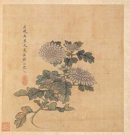 菊花`Chrysanthemum (1598~1652) by Chen Hongshou