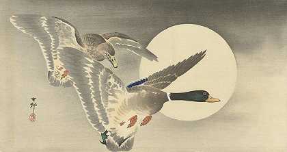 满月时两只鸭子`Two ducks at full moon (1900 ~ 1930) by Ohara Koson