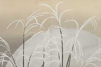 月光下的潘帕斯草（Obana ni tsuki）`Pampas Grass in Moonlight (Obana ni tsuki) (1909~1910) by Kamisaka Sekka